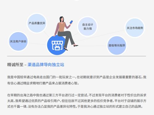 六種跨境電商企業核心能力對比分析 產品、用戶、品牌能力與品牌管理